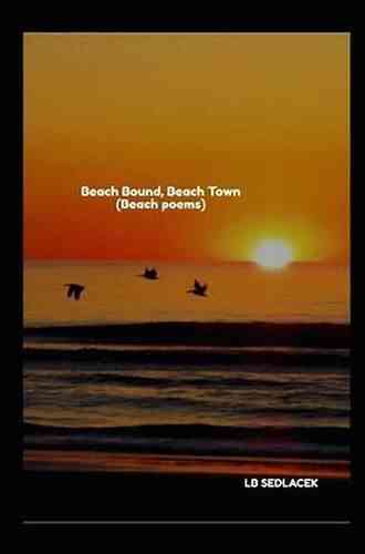 Beach Patrol: (Beach Poems) LB Sedlacek
