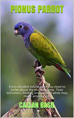 PIONUS PARROT: Every Detailed Information You Need To Know About The Pionus Parrot Their Behaviors Feeding And Reasons While They Make Amazing Pet