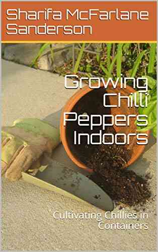 Growing Chilli Peppers Indoors: Cultivating Chillies In Containers
