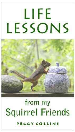 Life Lessons From My Squirrel Friends
