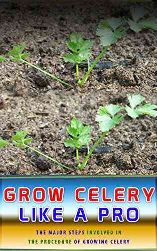 Grow Celery Like A Pro: The Major Steps Involved In The Procedure Of Growing Celery