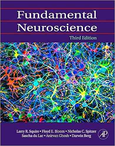 Fundamental Neuroscience Larry R Squire