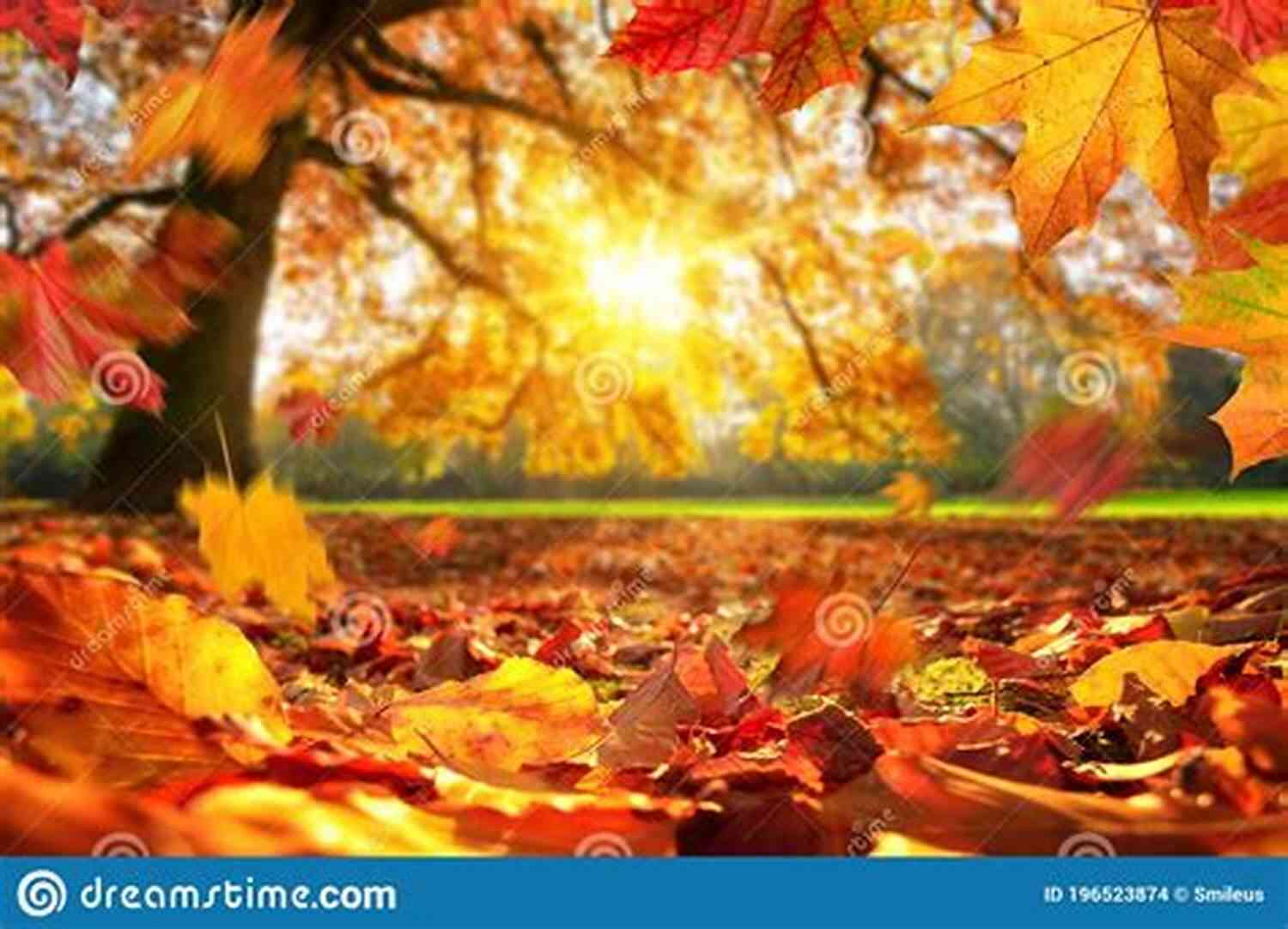 A Beautiful Autumn Leaf Gently Falling In A Forest Never Give Up: As Seasons Come And Go