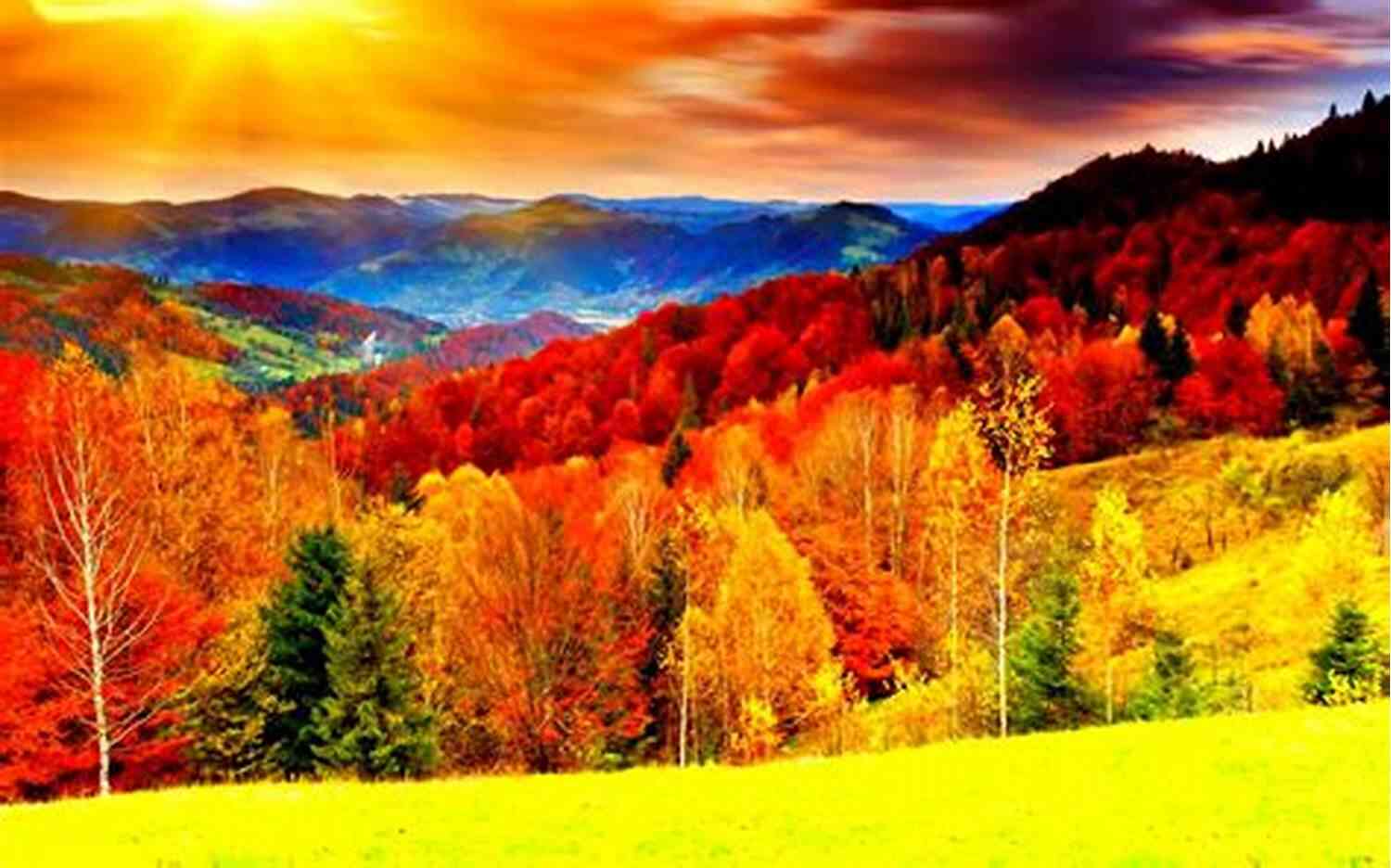A Picturesque Landscape Of Trees Covered In Colorful Autumn Leaves Never Give Up: As Seasons Come And Go