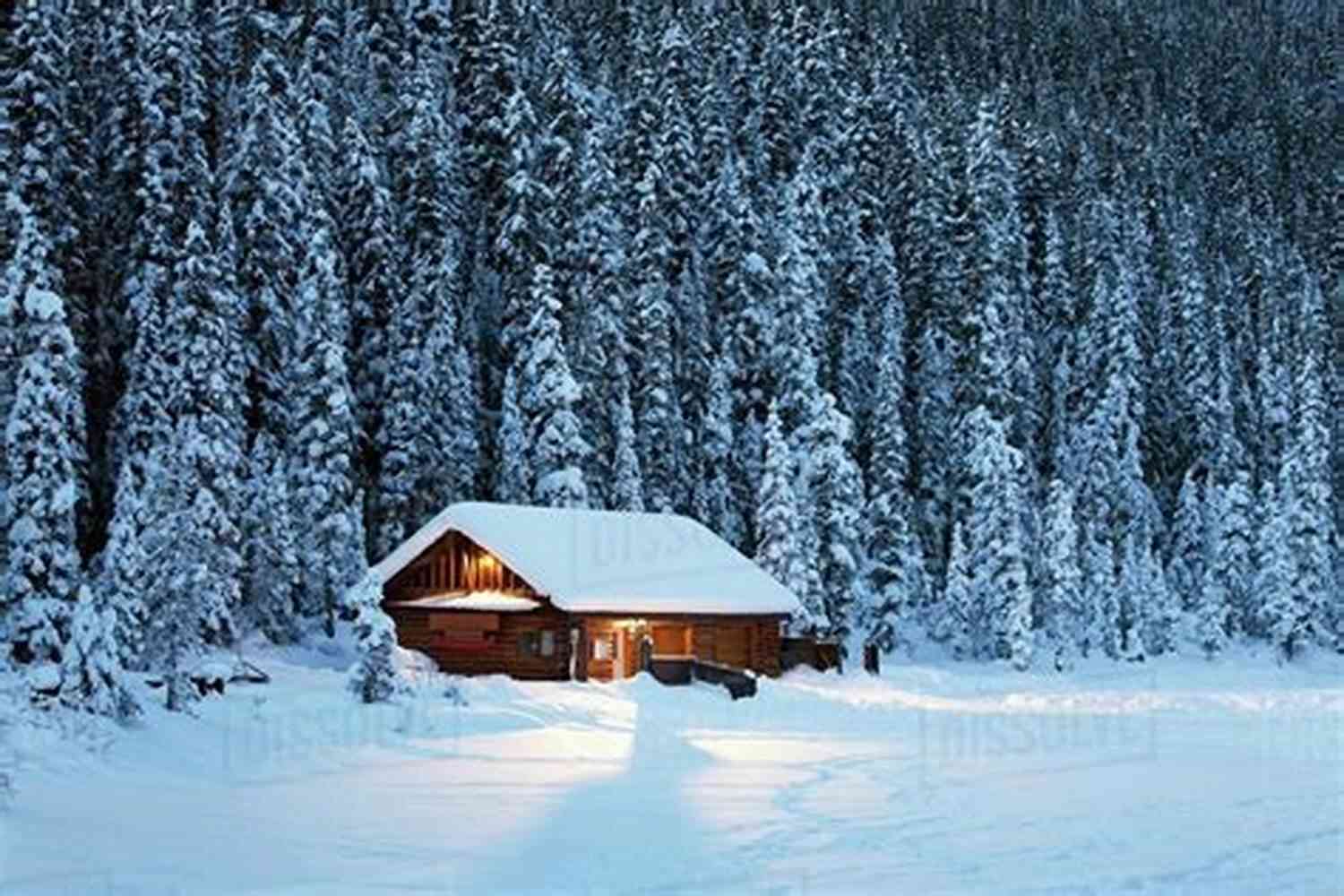 A Serene Snowy Landscape With A Wooden Cabin Surrounded By Trees Never Give Up: As Seasons Come And Go