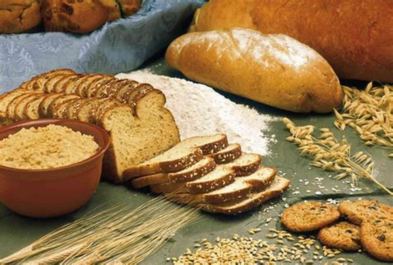 Ancient Food Contemporary Carnivore Diet: Ancient Food For Ancient Health And Fat Loss In A Modern World (CCD 1)