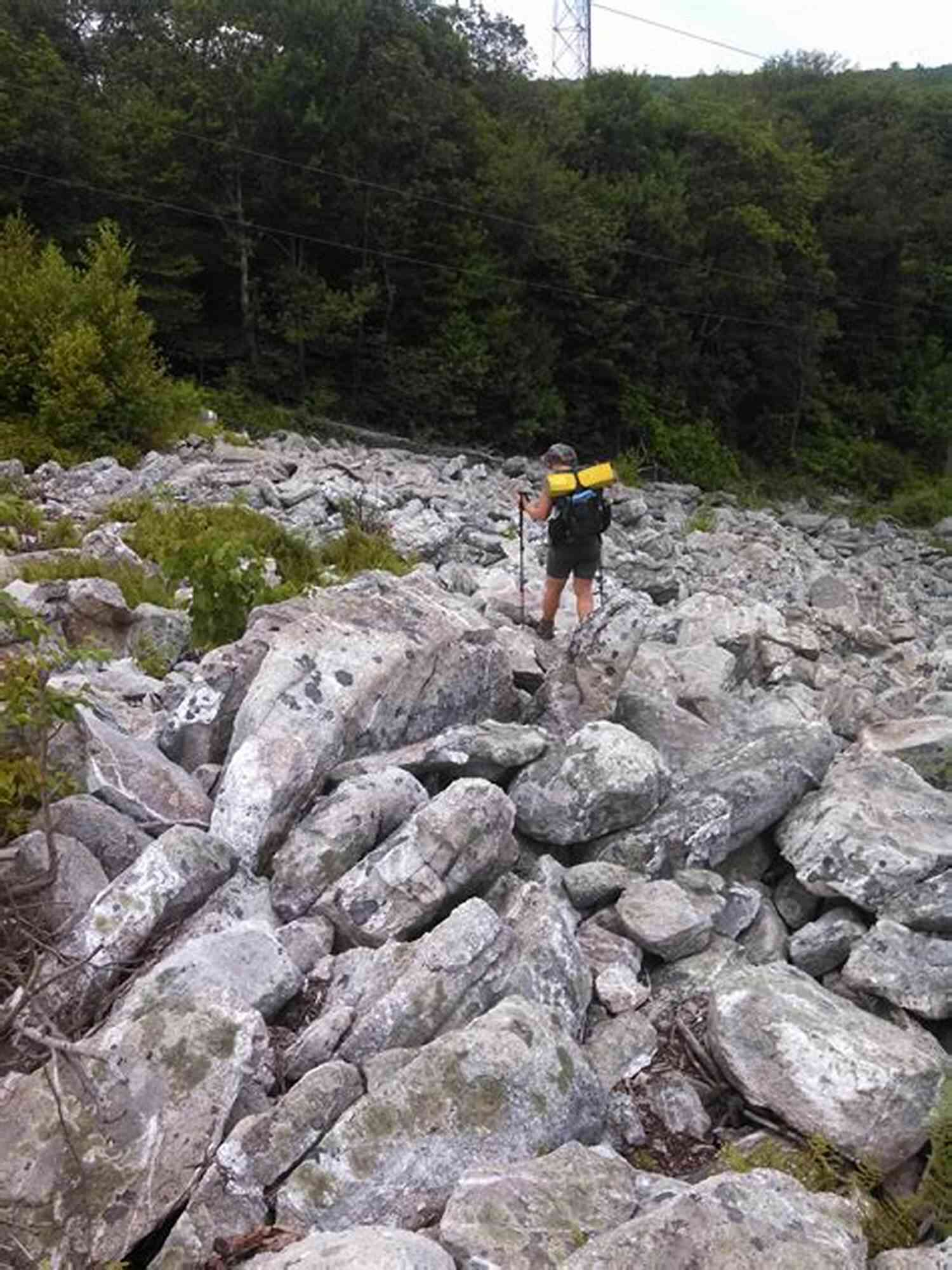 Appalachian Trail In Pennsylvania A Journey Amidst Nature's Marvels Appalachian Trail In Pennsylvania Hiking Guide PA 944 To Susquehanna River