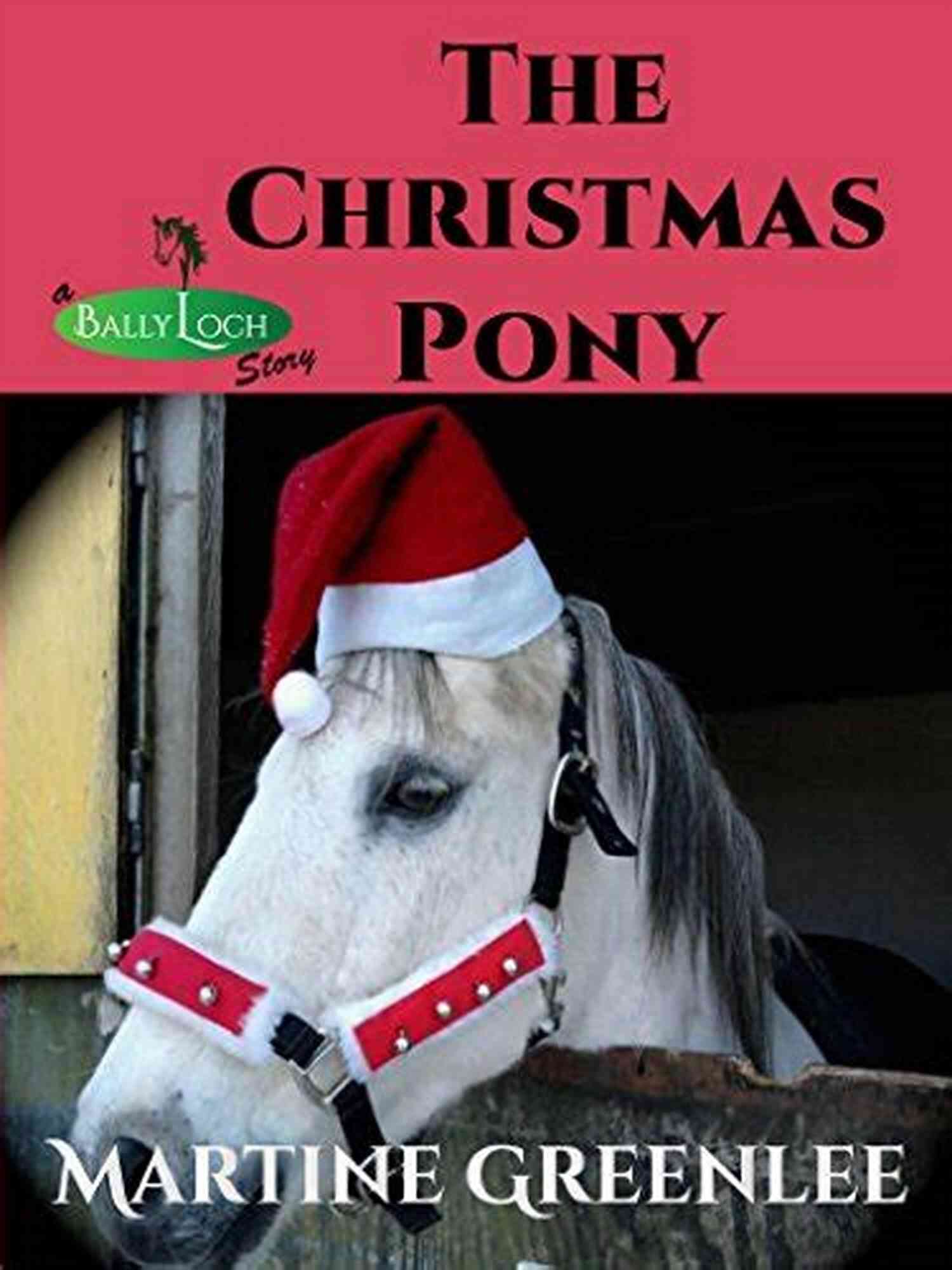 Ballyloch Story Tails From The Stables Lucky In Life: A Ballyloch Story (Tails From The Stables)