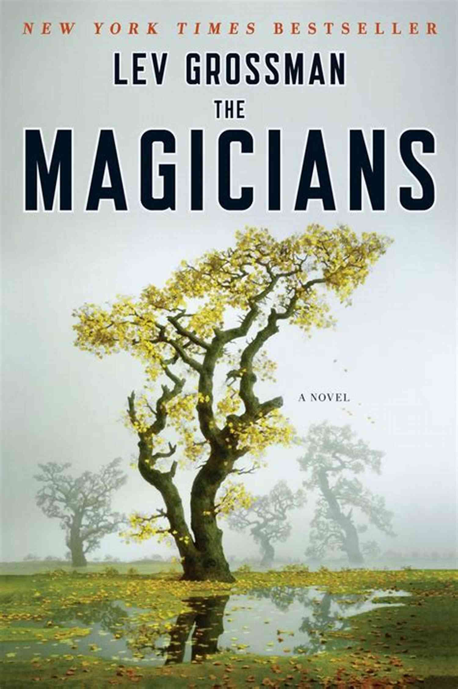 Book Cover Image The Magicians Witch Ways: 20 Full Length Novels (and 1 Novella) Featuring Witches Wizards Vampires Shifters And More