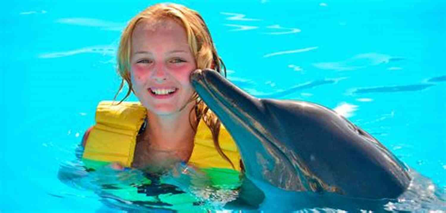 Experience The Magic Of Swimming With Dolphins You Should : 100 Weird Adventurous And Random Things You Should Do