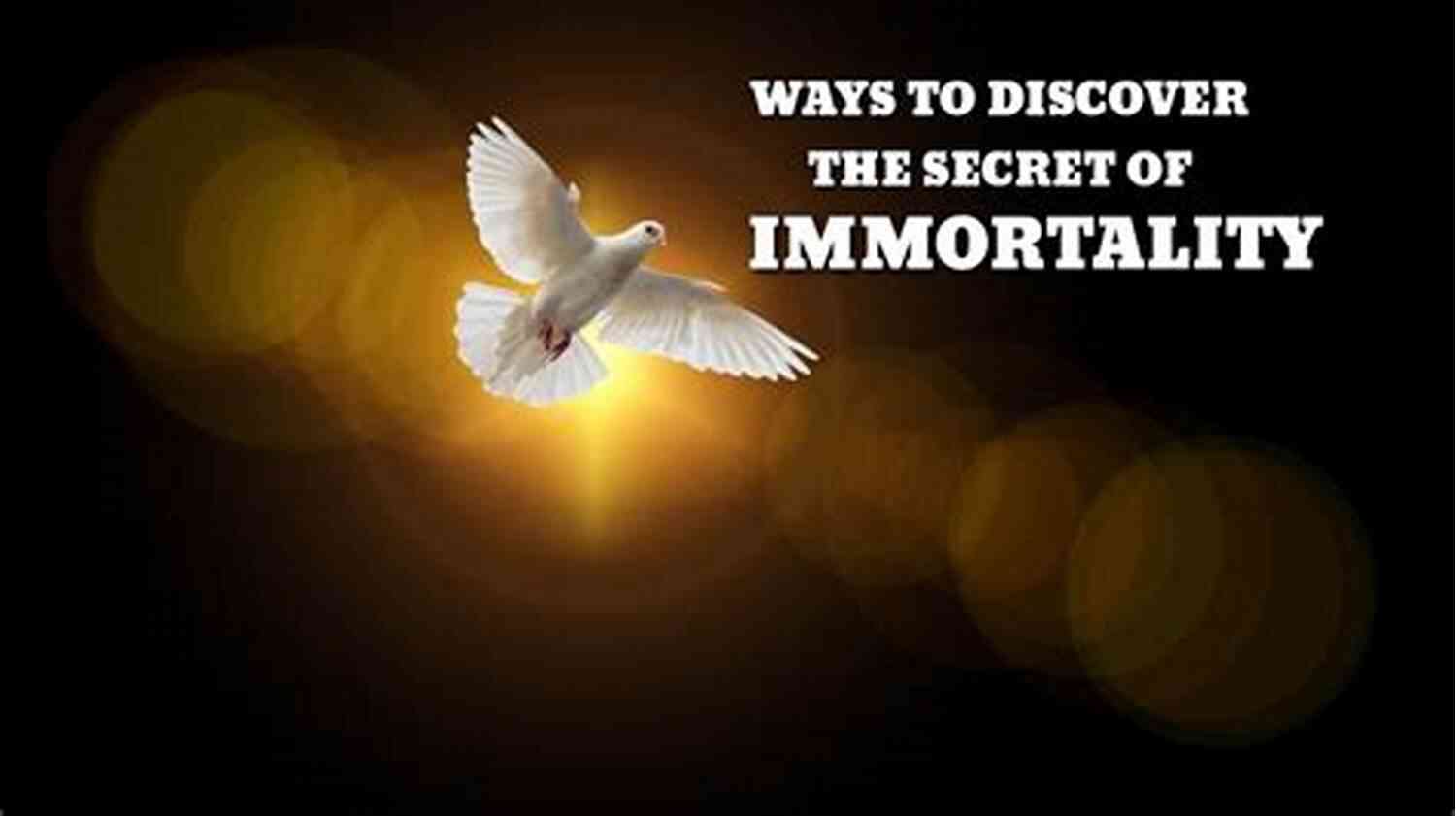 Exploring The HeLa Cells: Unraveling The Secrets Of Immortality The Immortal Life Of Henrietta Lacks