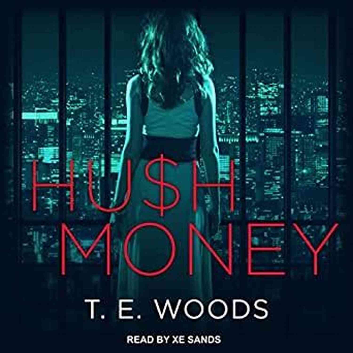 Hush Money Ashlee A Mysterious Woman With A Hidden Agenda Hush Money 2: Ashlee S Story Quiana