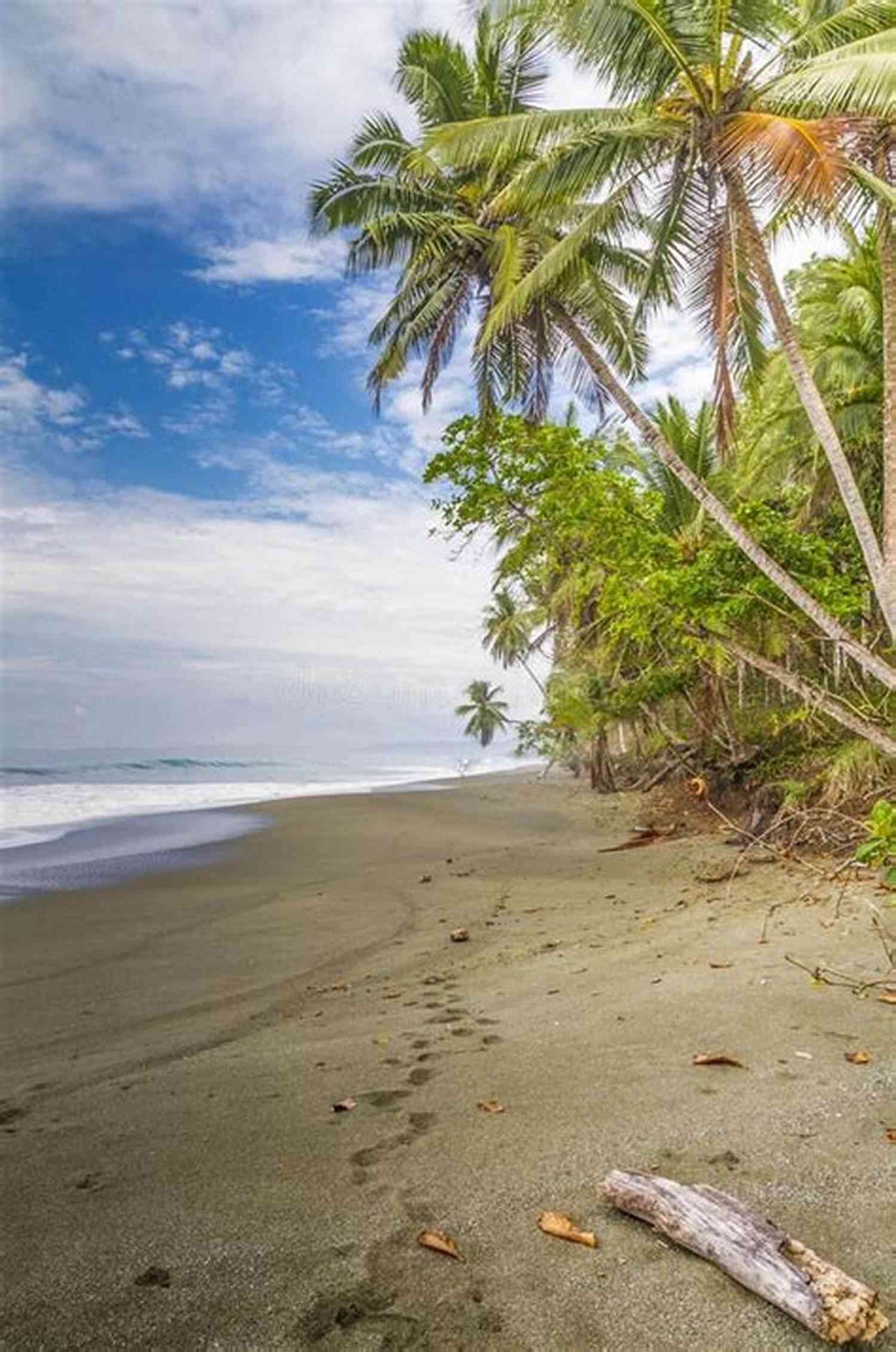 Idyllic View Of Bali's Palm Fringed Coastline Starting Over (Coastal Holiday 1)