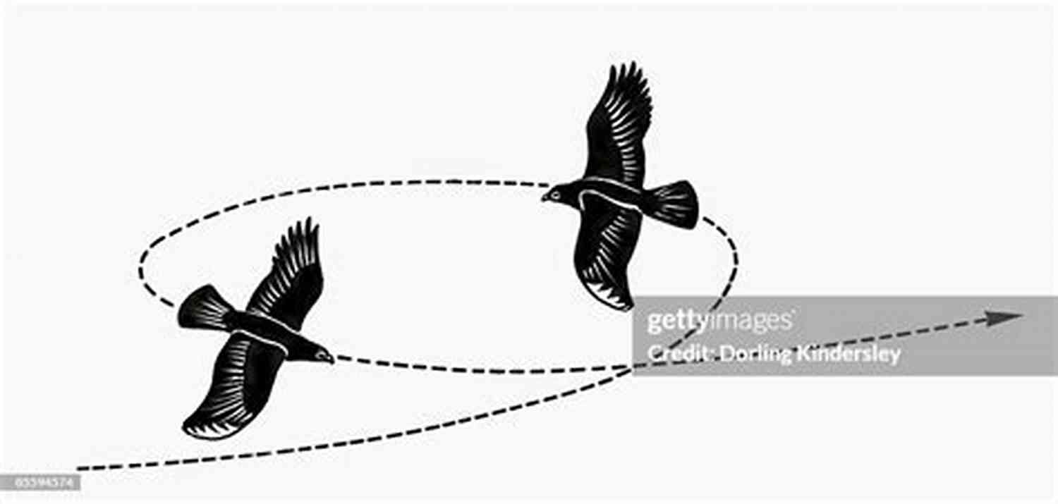 Illustration Of A Bird Soaring With Wings Spread Wide The Spiritual Meaning Of Freedom
