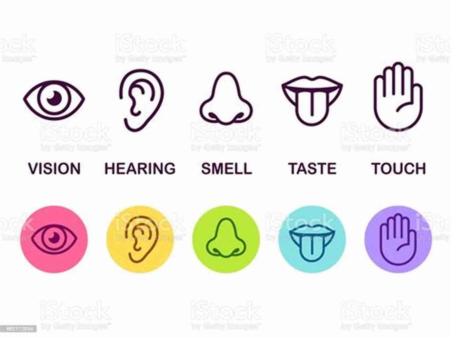 Illustration Of Different Senses Represented By Colorful Icons How To Tell A Story: The Essential Guide To Memorable Storytelling From The Moth