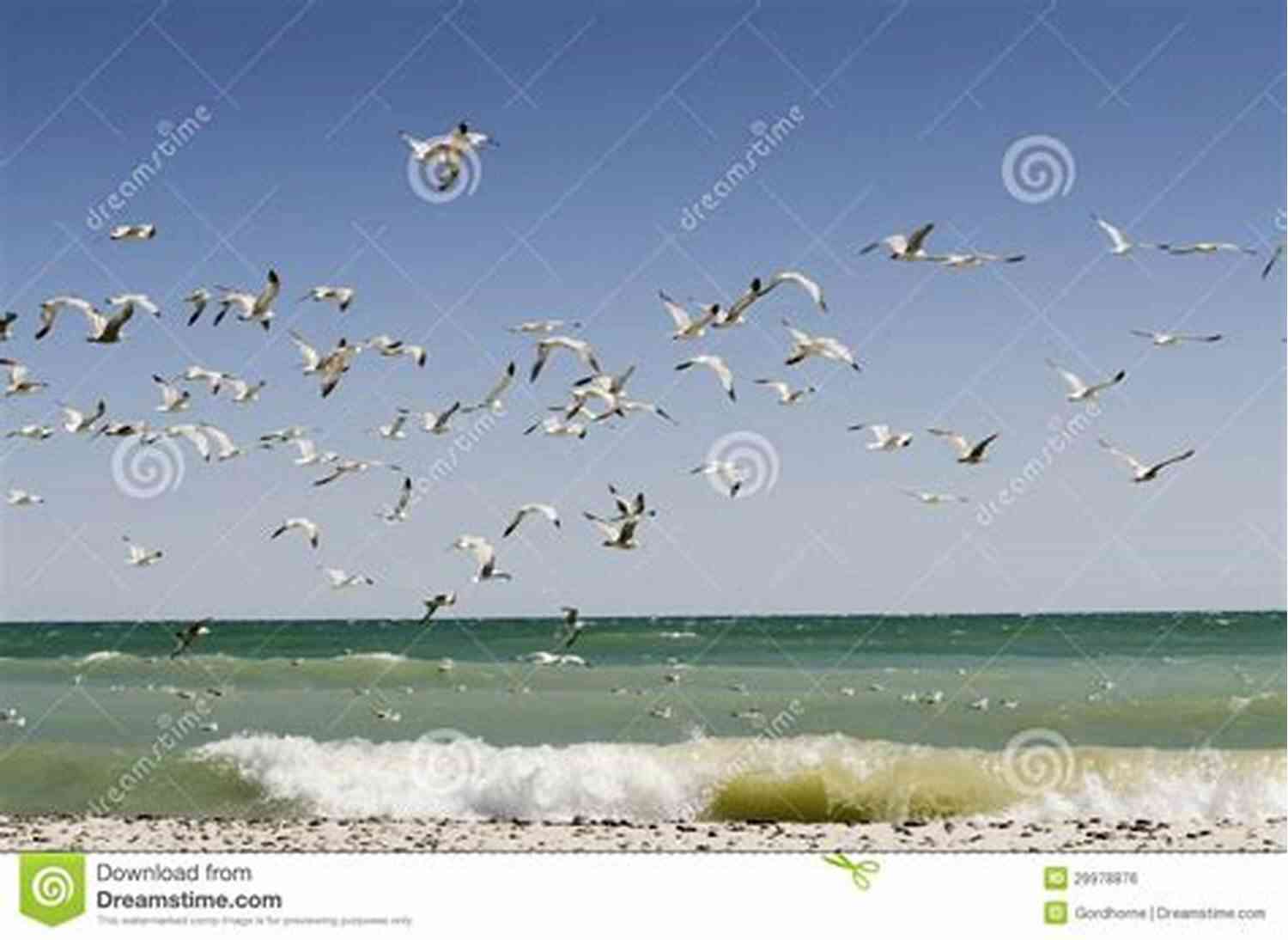 Image Of An Empty Beach With Crashing Waves And Seagulls Flying Overhead The Nameless And Forgotten: A Poetry