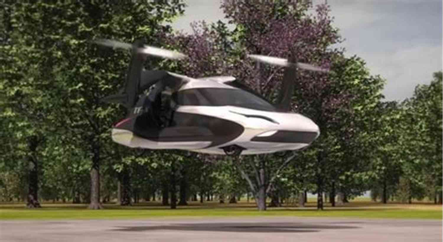 The IT Consultant Who Built A Flying Car Betty Deleted Critical (Salary) Files: IT Related Creative Stories 4