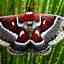 The Moth