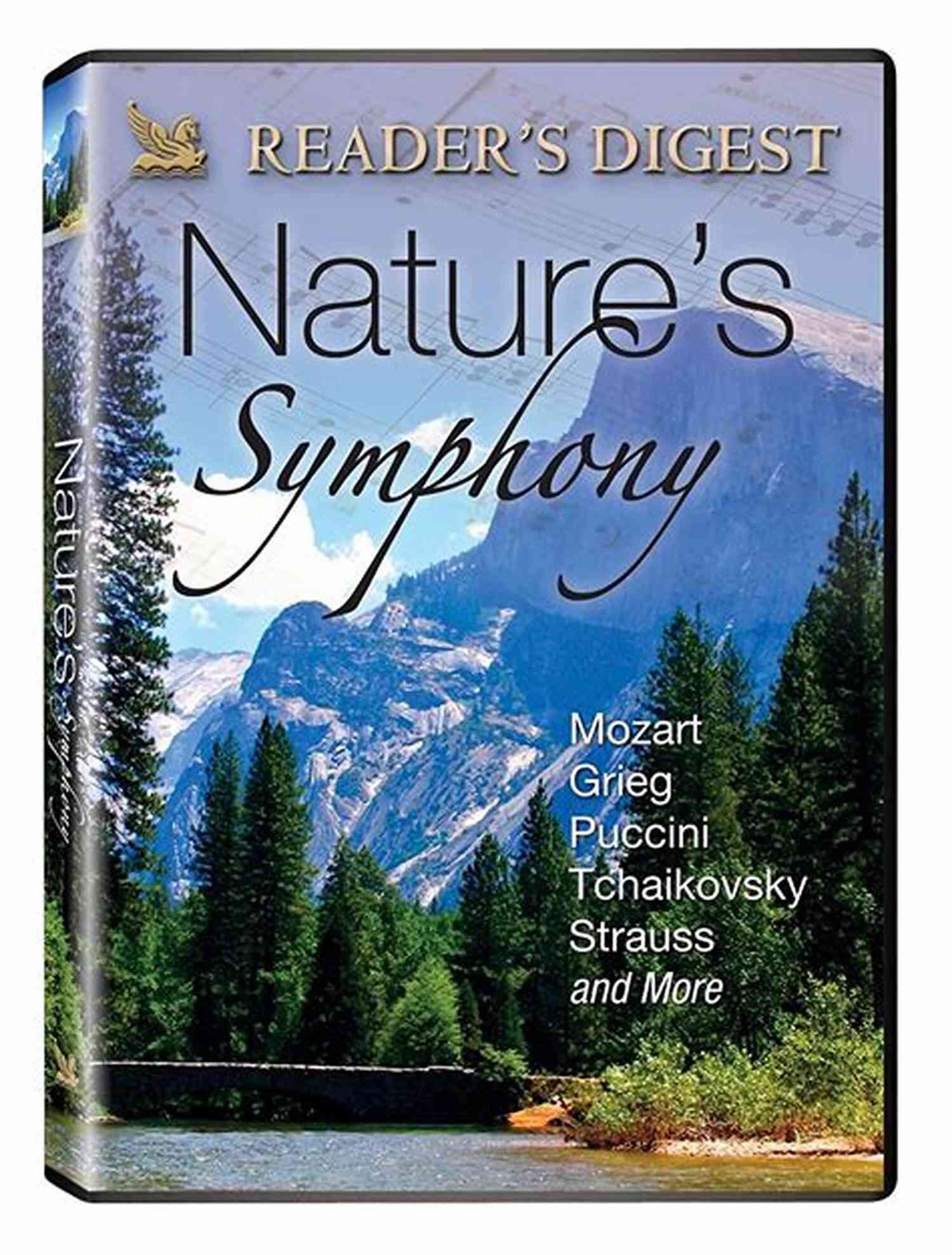 The Sure Song Of Here A Journey Through Nature's Symphony The Sure Song Of Here