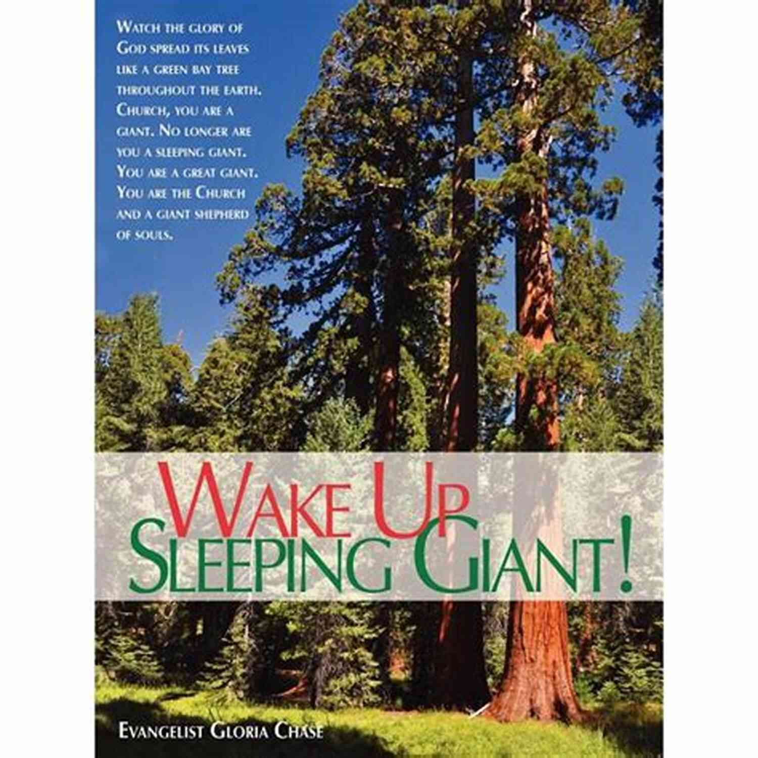 Waking Up Sleeping Giants La Moneda Publishing Waking Up Sleeping Giants La Moneda Publishing